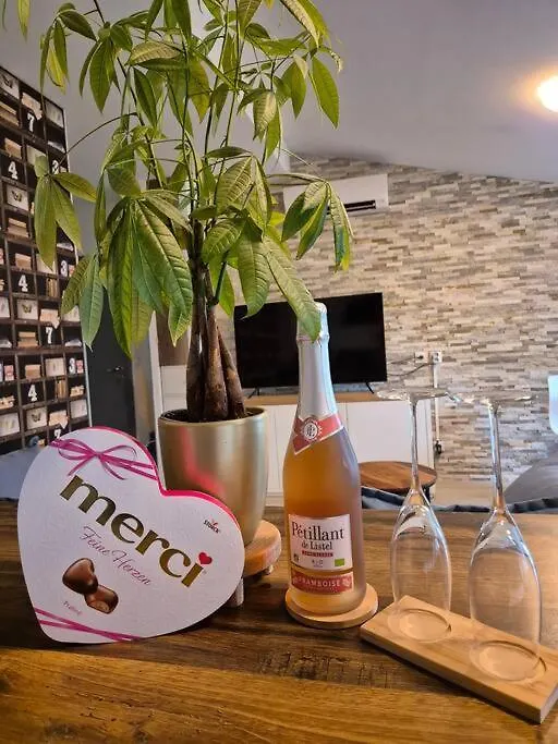 Appartement T3 Campagne Forcalqueiret Apartment